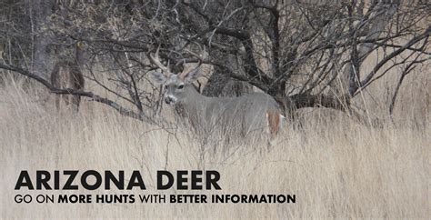 Draw Odds and harvest data for hunting Deer in Arizona.